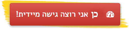 כן אני רוצה גישה מיידית! כן אני רוצה גישה מיידית!