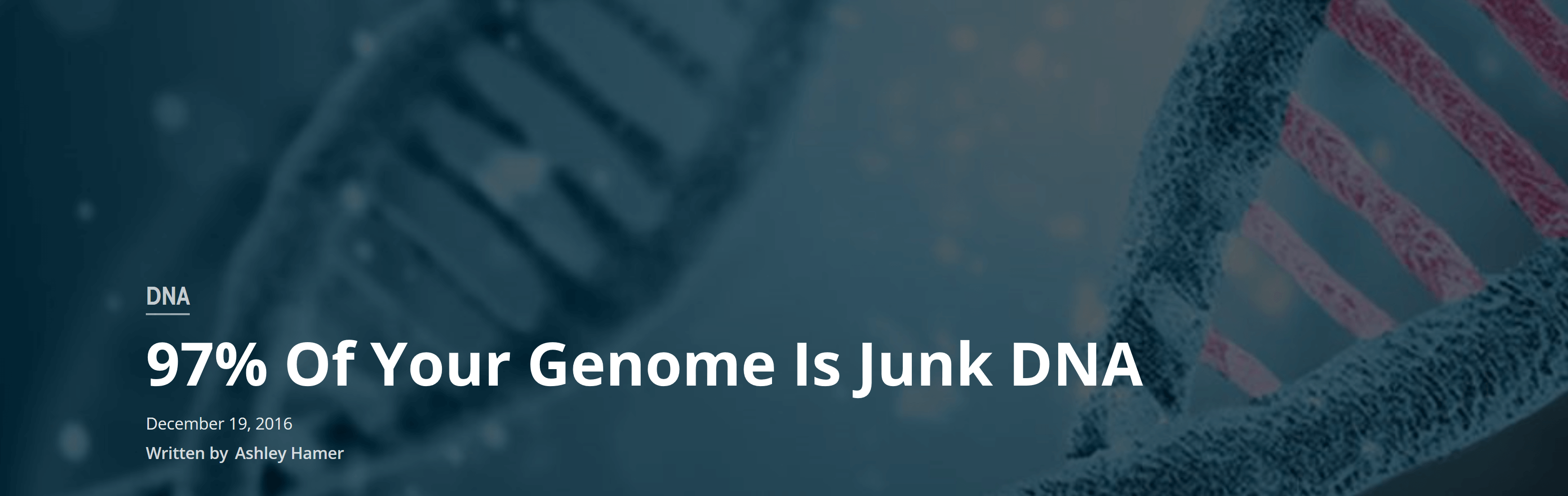 97% מהגנום שלך זה DNA זבל 97% מהגנום שלך זה DNA זבל