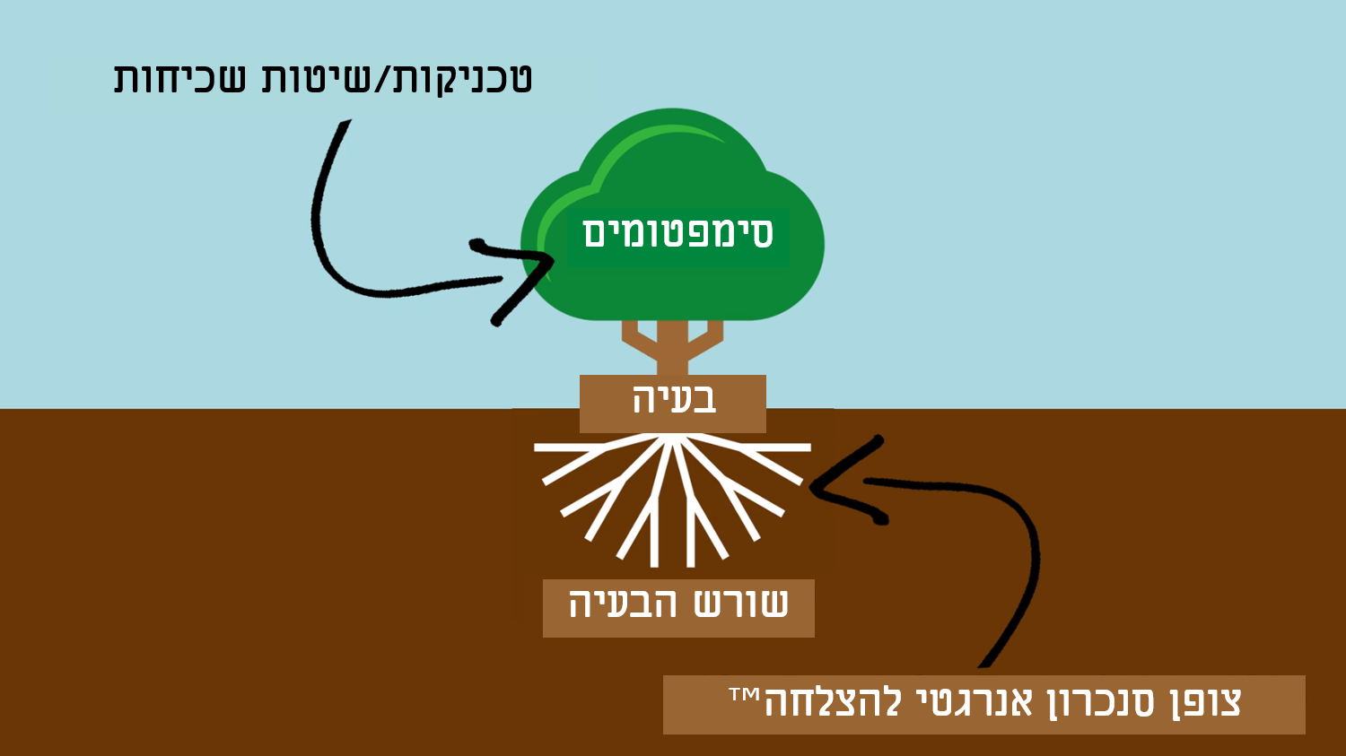 שורש הבעיה והפתרון השלם לשורש הבעיה (ולא רק לסימפטום)