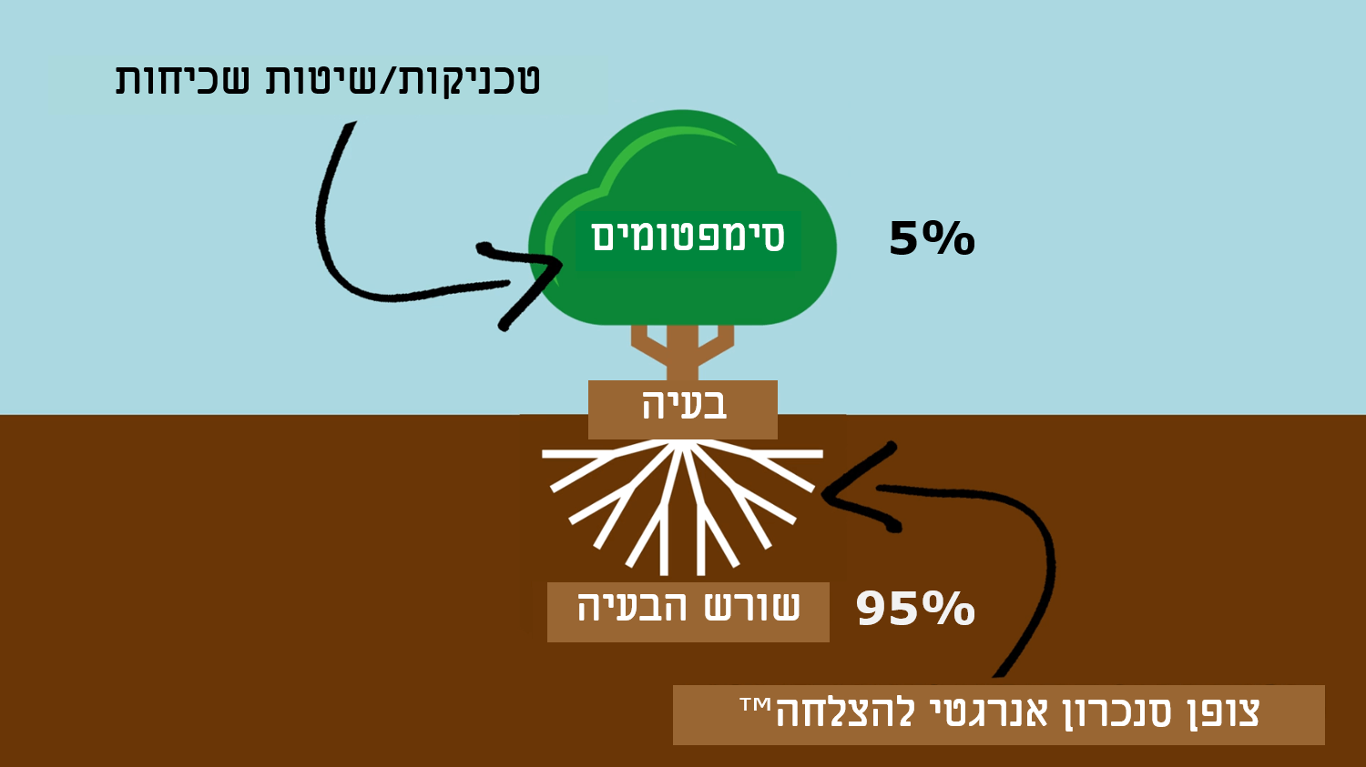 שורש הבעיה (95%) והפתרון השלם לשורש הבעיה (ולא רק לסימפטום - 15%) שורש הבעיה (95%) והפתרון השלם לשורש הבעיה (ולא רק לסימפטום - 15%)