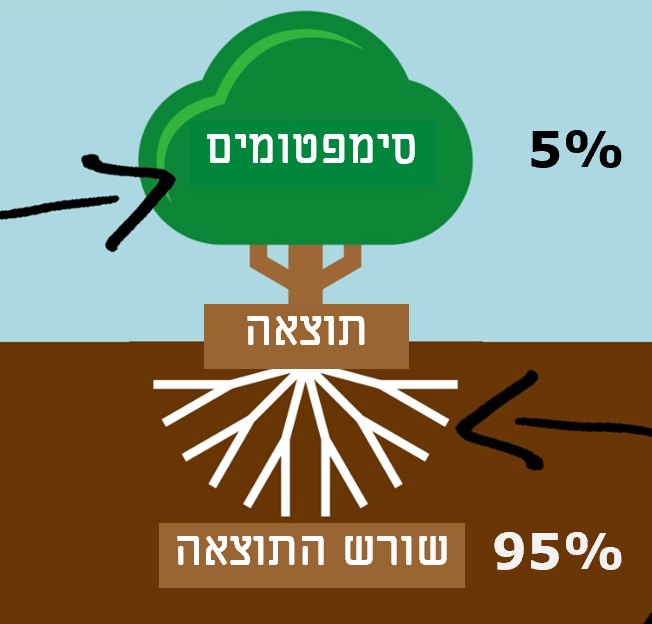 התוצאה מורכבת מסימפטומים (5%) ושורש התוצאה (95%) התוצאה מורכבת מסימפטומים (5%) ושורש התוצאה (95%)